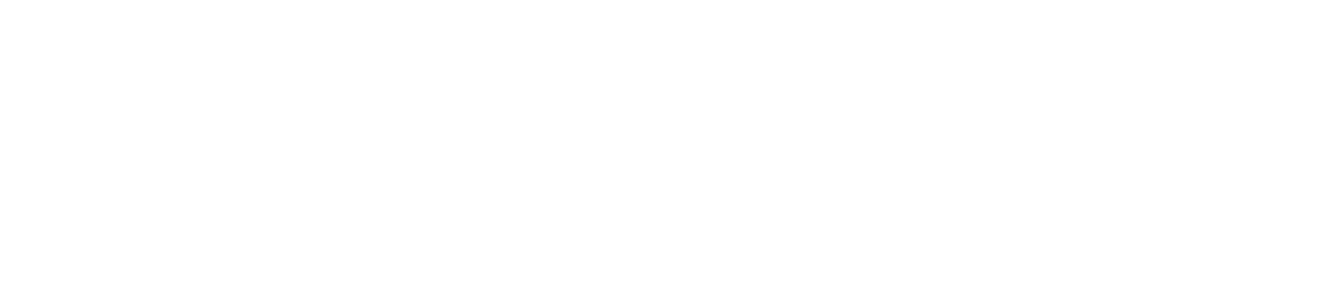 perlitz-us-leistungen